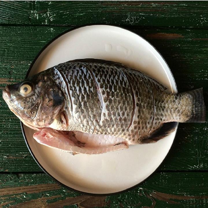 100g cá rô phi cung cấp bao nhiêu protein?