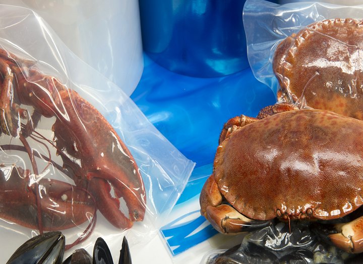 Bao bì thủy sản có độc hại không cách nhận biết loại an toàn và bền