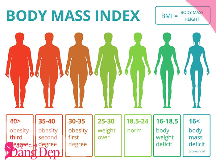 BMI là gì? Hướng dẫn cách tự tính chỉ số chính xác tại nhà