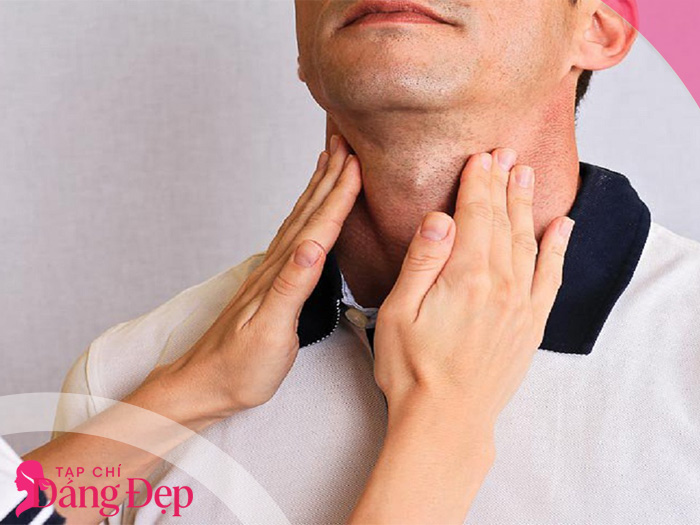 Cường giáp là gì? Triệu chứng dễ gặp khi tuyến giáp hoạt động quá mức