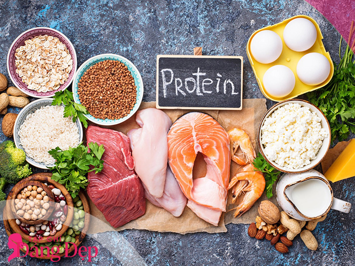 Protein là gì? Tác dụng thật sự với sức khỏe và thể trạng