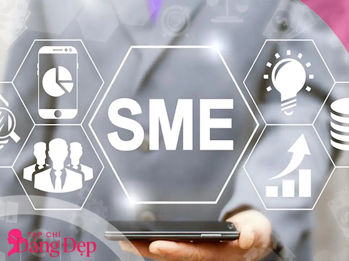 SME là gì? Đặc điểm và thách thức của doanh nghiệp vừa và nhỏ