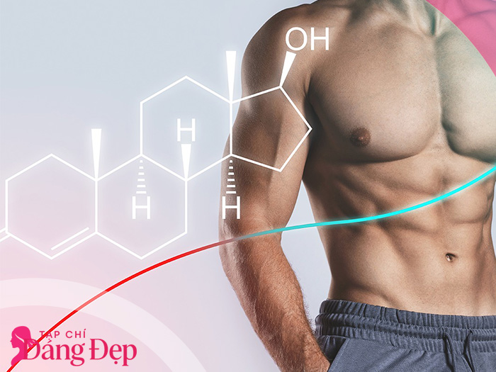 Testosterone là gì? Vì sao nam giới cần quan tâm đến hormone này