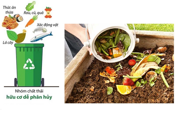 Thùng rác hữu cơ màu gì? Vai trò quan trọng trong tái chế