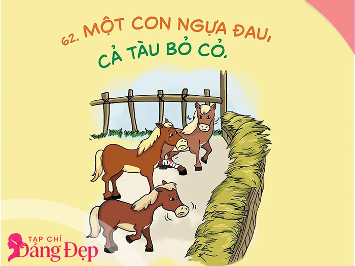 Tục ngữ là gì và vai trò của tục ngữ trong đời sống dân gian