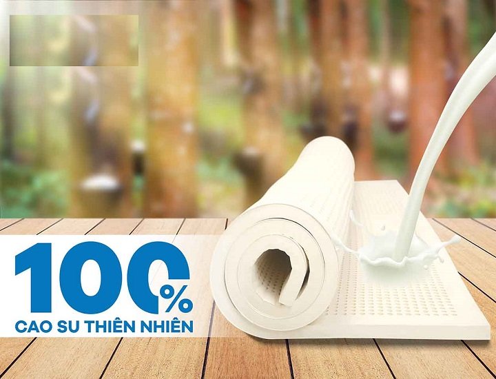 Tính chất và ứng dụng của cao su thiên nhiên trong sản xuất và đời sống