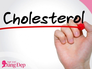 Cholesterol là gì? Mức bao nhiêu bắt đầu gây hại cho sức khỏe - Tạp chí Dáng Đẹp