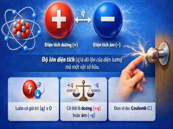 Độ lớn điện tích là gì? Cách hiểu và áp dụng giải nhanh bài tập