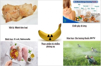 Mối nguy an toàn thực phẩm là gì và cách để phòng tránh hiệu quả - Tạp chí Dáng Đẹp