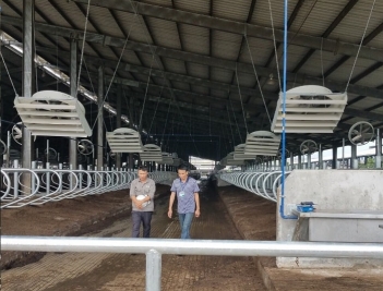Độ bền quạt thông gió chuồng trại bao nhiêu năm? - Tạp chí Dáng Đẹp
