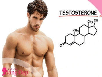 Testosterone là gì? Vì sao nam giới cần quan tâm đến hormone này - Tạp chí Dáng Đẹp