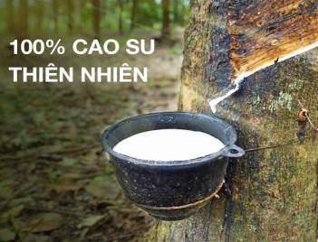 Tính chất và ứng dụng của cao su thiên nhiên trong sản xuất và đời sống - Tạp chí Dáng Đẹp
