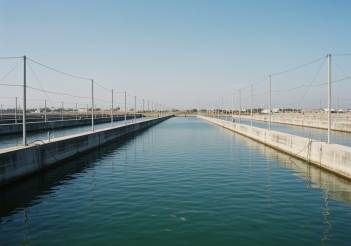 Cách xử lý hồ xi măng nuôi cá đúng kỹ thuật - Tạp chí Dáng Đẹp