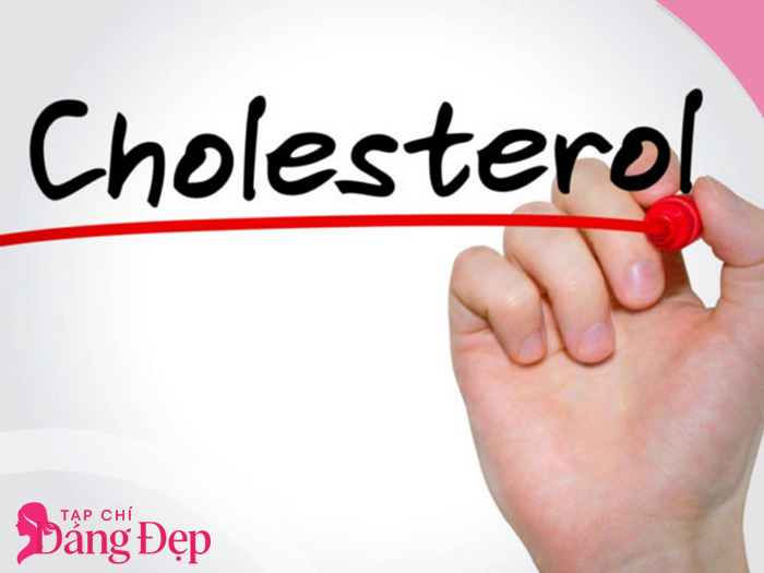 cholesterol là gì