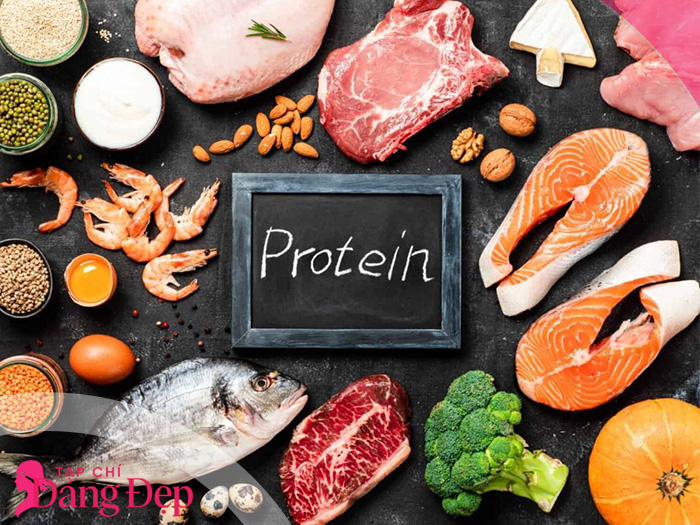 protein là gì