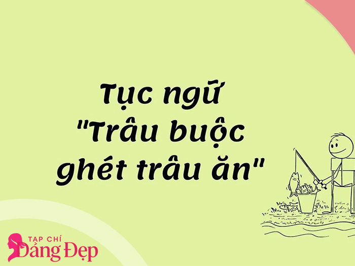 Tục ngữ là gì và vai trò của tục ngữ trong đời sống dân gian - Tạp chí Dáng Đẹp